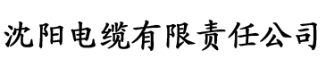 香蕉视频app污免费电缆厂logo